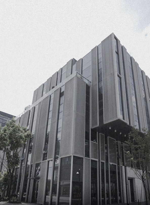 TB2P5JxcFXXXXXrXpXXXXXXXXXX_!!717310410